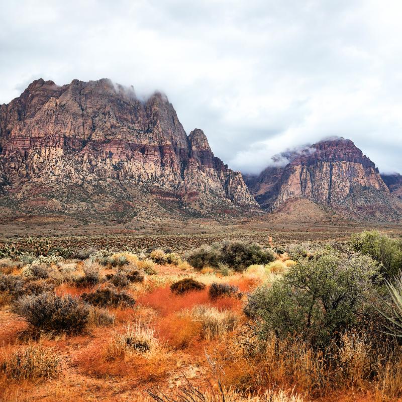 Red Rock National park